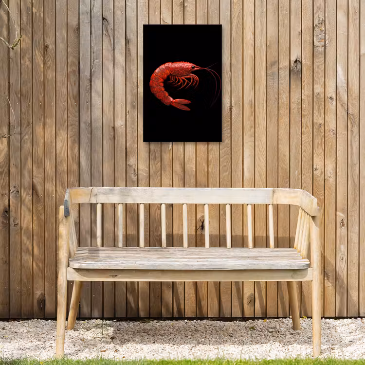 Garnaal - Rood - Dieren Tuinposter op houten frame 2 cm dik klein -sfeer4