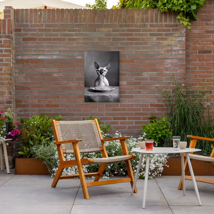 Sphynx - Kat - Dieren - Humor - Spaghetti - Zwart Wit Tuinposter op houten frame 2 cm dik klein -sfeer3