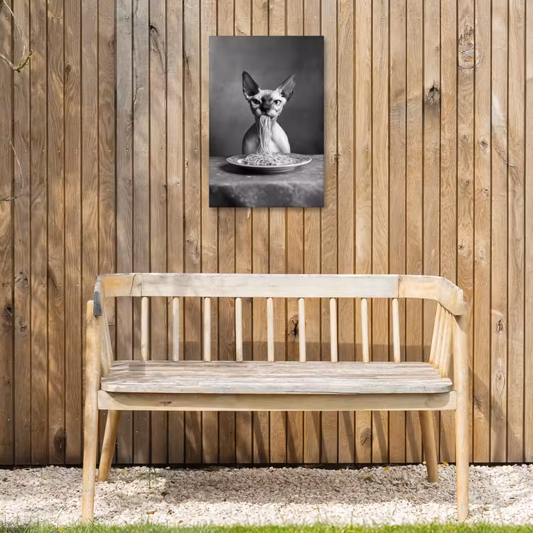 Sphynx - Kat - Dieren - Humor - Spaghetti - Zwart Wit Tuinposter op houten frame 2 cm dik klein -sfeer4