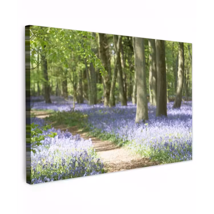 Lente bos met blauwe bloemen Tuinposter op houten frame 2 cm dik middel -3d