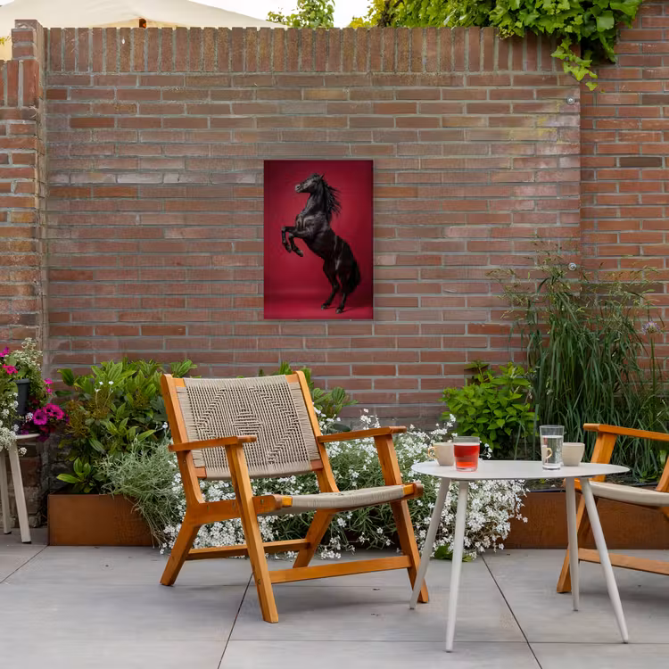 Hengst - Steigert - Rood Tuinposter op houten frame 2 cm dik klein -sfeer3