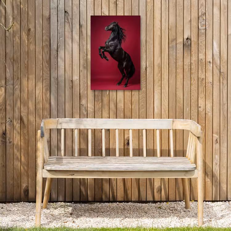 Hengst - Steigert - Rood Tuinposter op houten frame 2 cm dik klein -sfeer4