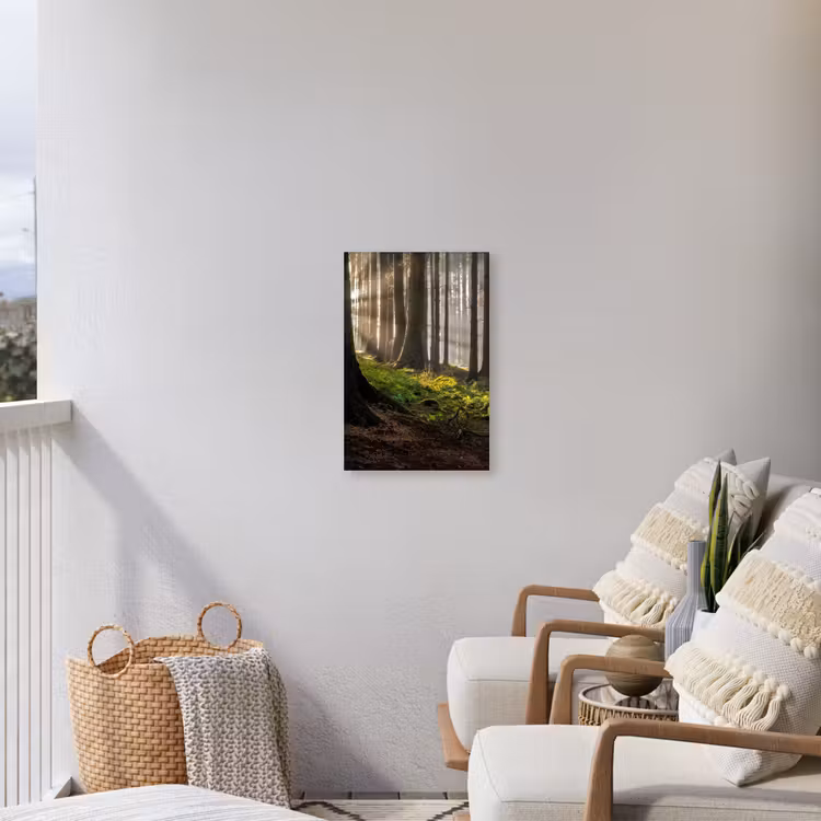 Zon - Takken - Bomen - Bos - Natuur Tuinposter op houten frame 2 cm dik klein -sfeer1