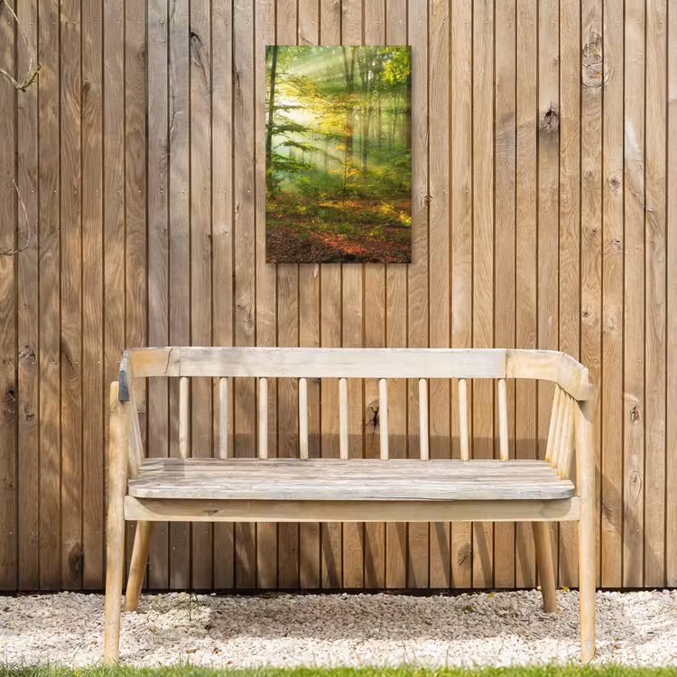 Zon - Bos - Bomen - Natuur - Herfst Tuinposter op houten frame 2 cm dik klein -sfeer4