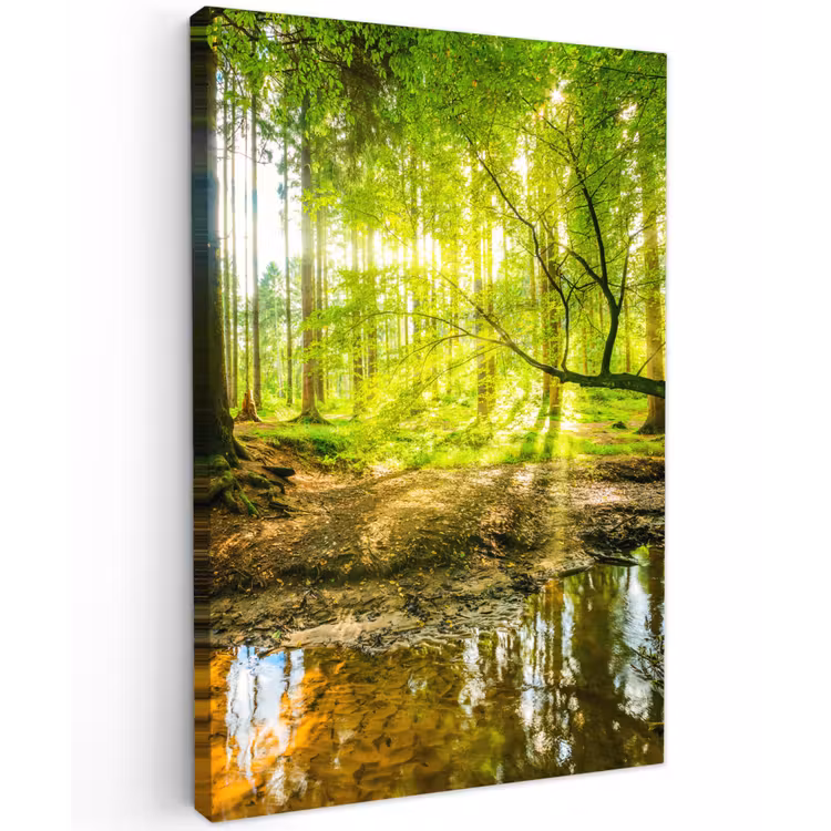 Zonnestralen in een groen bos Tuinposter op houten frame 2 cm dik klein -3d