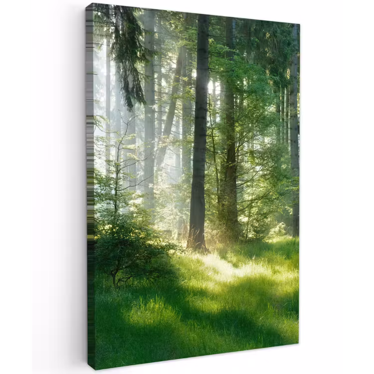 Zonnestralen in een groen bos Tuinposter op houten frame 2 cm dik klein -3d