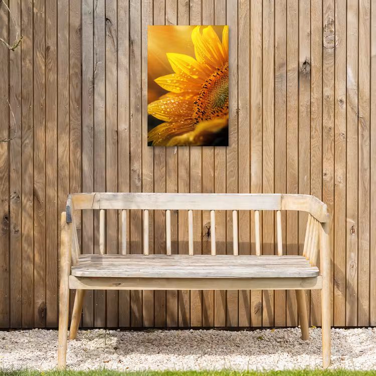 Zonnebloem - Dauwdruppels - Geel - Zonlicht Tuinposter op houten frame 2 cm dik klein -sfeer4