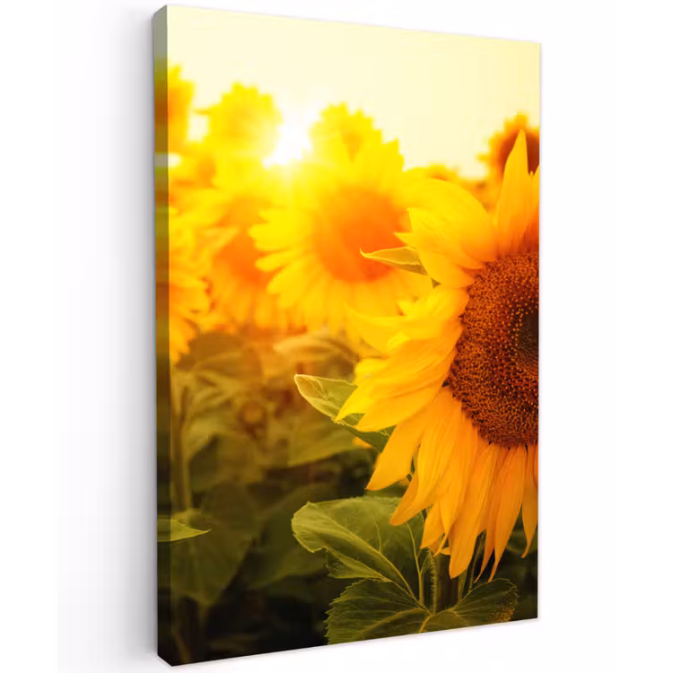 Zonnebloemen in het zonlicht Tuinposter op houten frame 2 cm dik klein -3d
