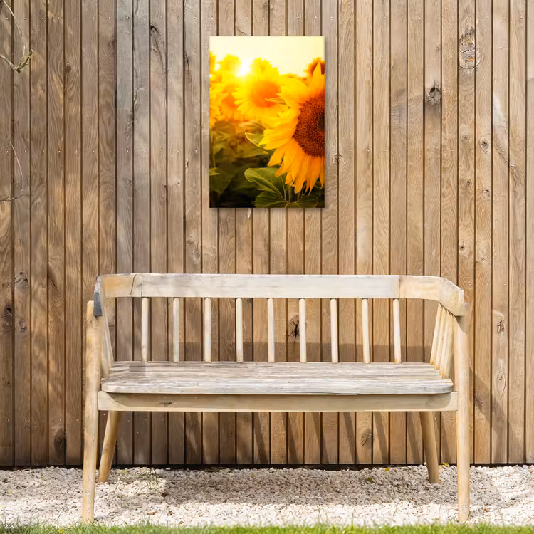 Zonnebloemen in het zonlicht Tuinposter op houten frame 2 cm dik klein -sfeer4