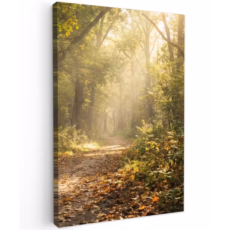 Zonlicht - Bospad - Bomen Tuinposter op houten frame 2 cm dik klein -3d