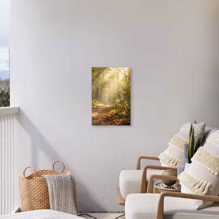 Zonlicht - Bospad - Bomen Tuinposter op houten frame 2 cm dik klein -sfeer1