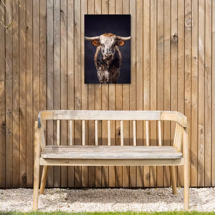 Stier - Kleurrijk - Hoorns Tuinposter op houten frame 2 cm dik klein -sfeer4