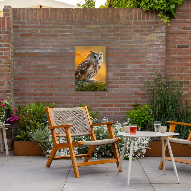 Bosuil op Mosbegroeide Tak Tuinposter op houten frame 2 cm dik klein -sfeer3