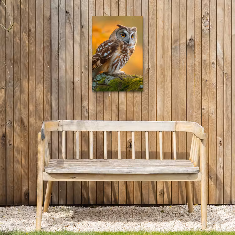 Bosuil op Mosbegroeide Tak Tuinposter op houten frame 2 cm dik klein -sfeer4