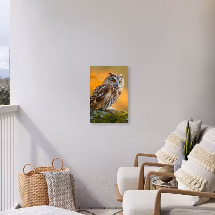 Bosuil op Mosbegroeide Tak Tuinposter op houten frame 2 cm dik klein -sfeer1