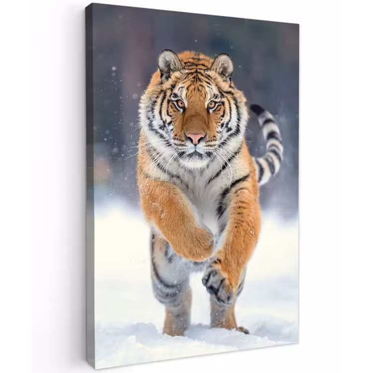 Tijger rennend door de sneeuw Tuinposter op houten frame 2 cm dik klein -3d