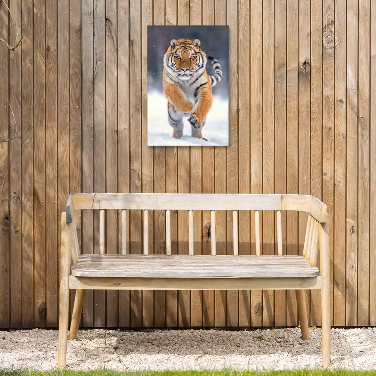 Tijger rennend door de sneeuw Tuinposter op houten frame 2 cm dik klein -sfeer4