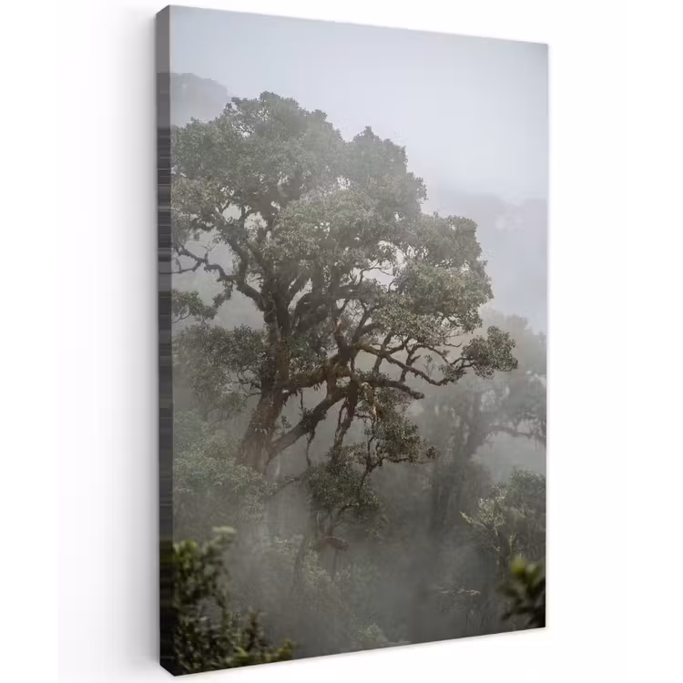 Boom - Mistig - Bos - Groen - Natuur Tuinposter op houten frame 2 cm dik klein -3d