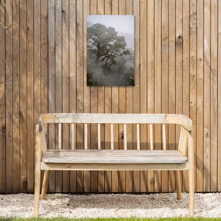 Boom - Mistig - Bos - Groen - Natuur Tuinposter op houten frame 2 cm dik klein -sfeer4