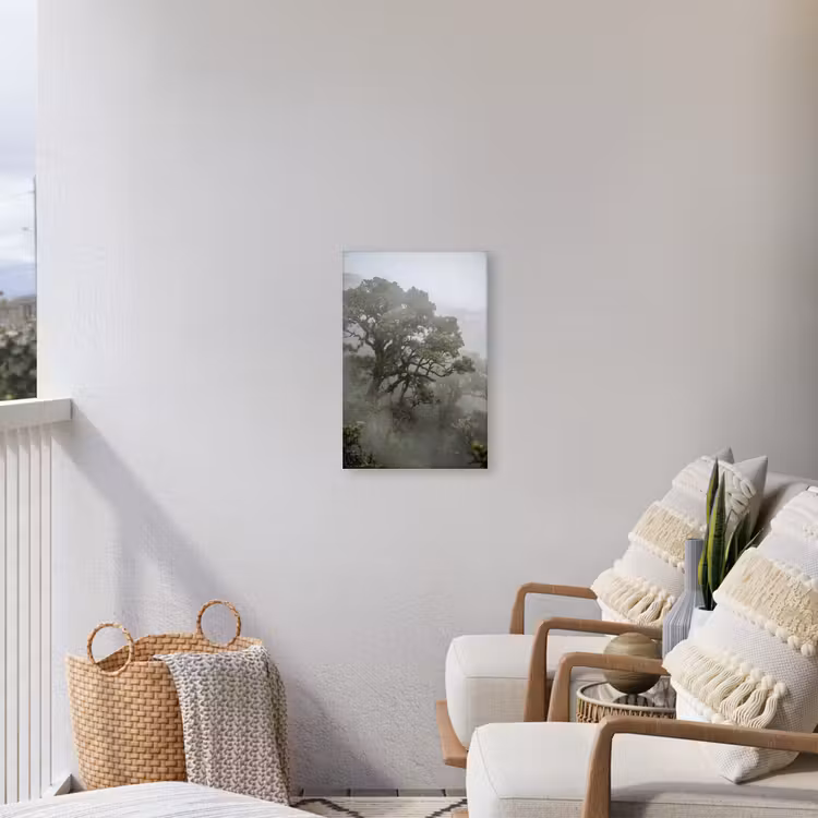 Boom - Mistig - Bos - Groen - Natuur Tuinposter op houten frame 2 cm dik klein -sfeer1