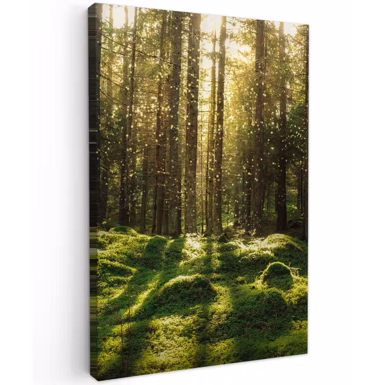 Bomen - Bos - Mos - Planten - Zon - Natuur Tuinposter op houten frame 2 cm dik klein -3d