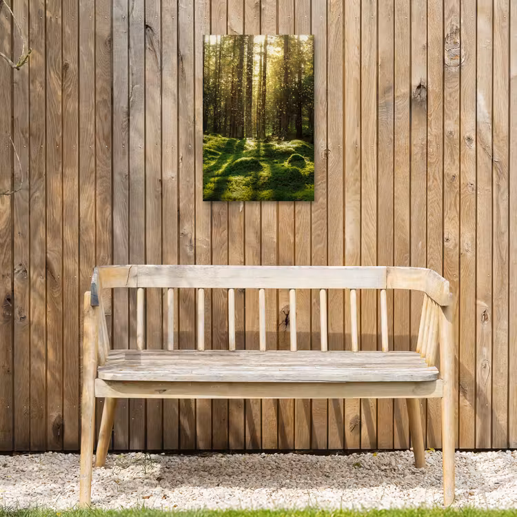 Bomen - Bos - Mos - Planten - Zon - Natuur Tuinposter op houten frame 2 cm dik klein -sfeer4