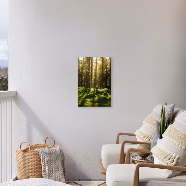 Bomen - Bos - Mos - Planten - Zon - Natuur Tuinposter op houten frame 2 cm dik klein -sfeer1