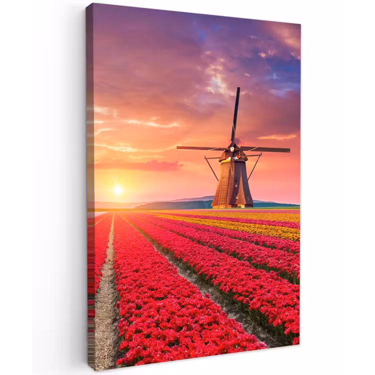 Tulpenvelden met windmolens bij zonsondergang Tuinposter op houten frame 2 cm dik klein -3d