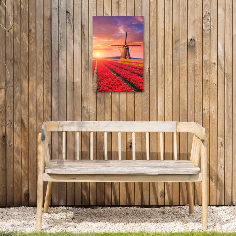 Tulpenvelden met windmolens bij zonsondergang Tuinposter op houten frame 2 cm dik klein -sfeer4