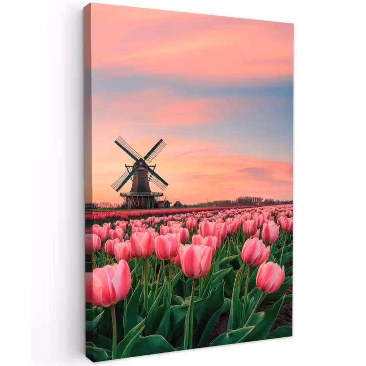 Tulpen - Molen - Nederland Tuinposter op houten frame 2 cm dik klein -3d
