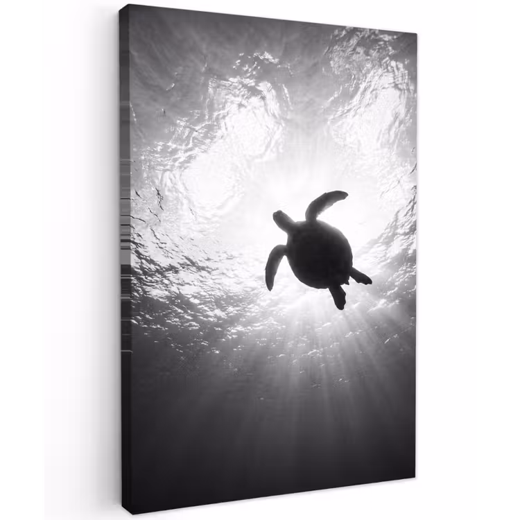 Schildpad - Onderwater - Lichtstralen - Oceaan - Zwart-wit Tuinposter op houten frame 2 cm dik klein -3d