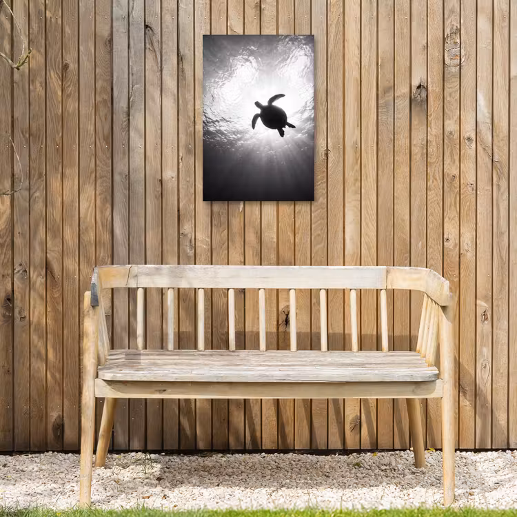 Schildpad - Onderwater - Lichtstralen - Oceaan - Zwart-wit Tuinposter op houten frame 2 cm dik klein -sfeer4