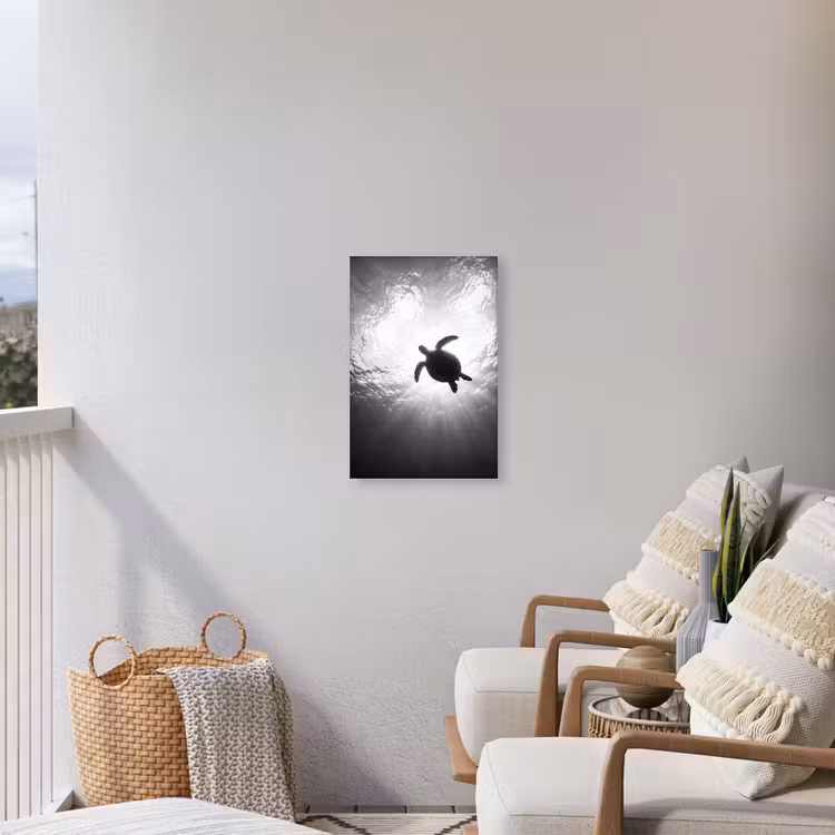 Schildpad - Onderwater - Lichtstralen - Oceaan - Zwart-wit Tuinposter op houten frame 2 cm dik klein -sfeer1