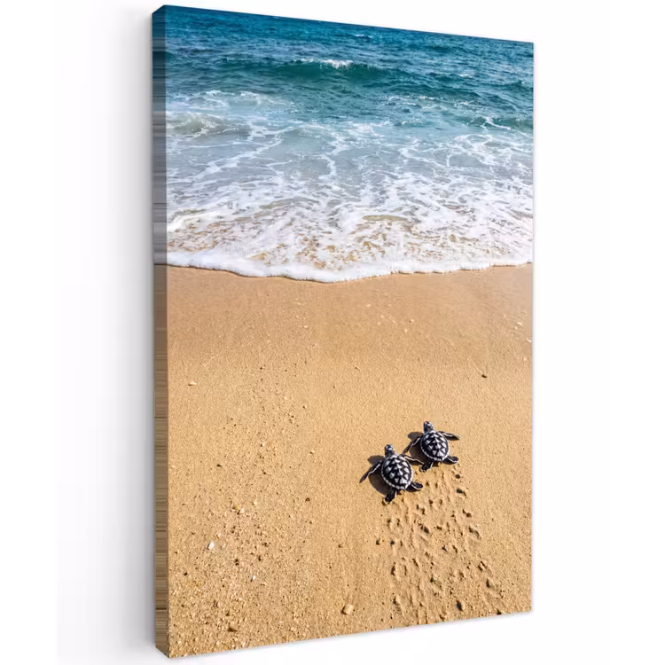 Schildpad - Jong - Strand - Oceaan - Blauw Tuinposter op houten frame 2 cm dik klein -3d
