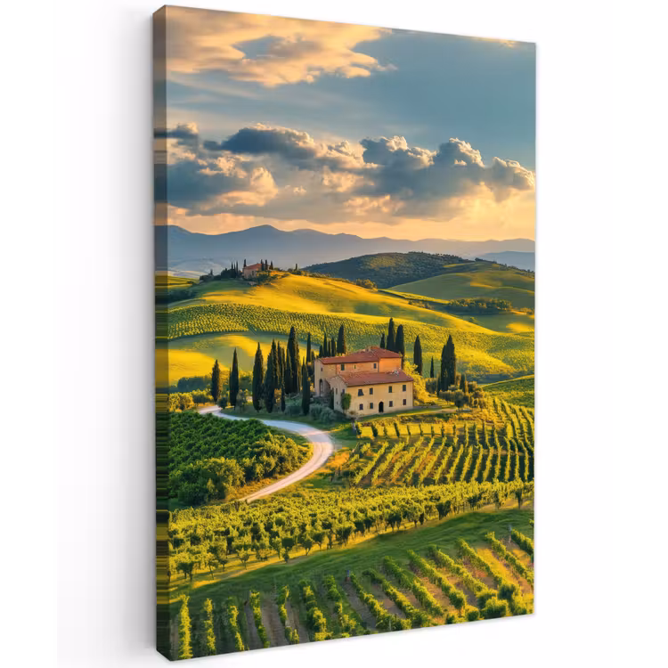 Toscane - Landschap - Wijngaarden Tuinposter op houten frame 2 cm dik klein -3d