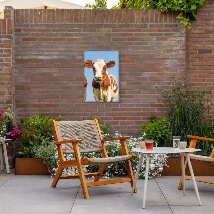 Twee kalveren in de weide Tuinposter op houten frame 2 cm dik klein -sfeer3