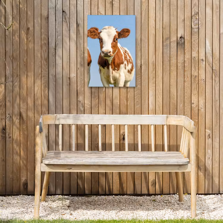 Twee kalveren in de weide Tuinposter op houten frame 2 cm dik klein -sfeer4