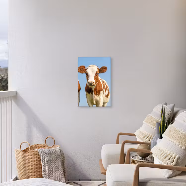 Twee kalveren in de weide Tuinposter op houten frame 2 cm dik klein -sfeer1