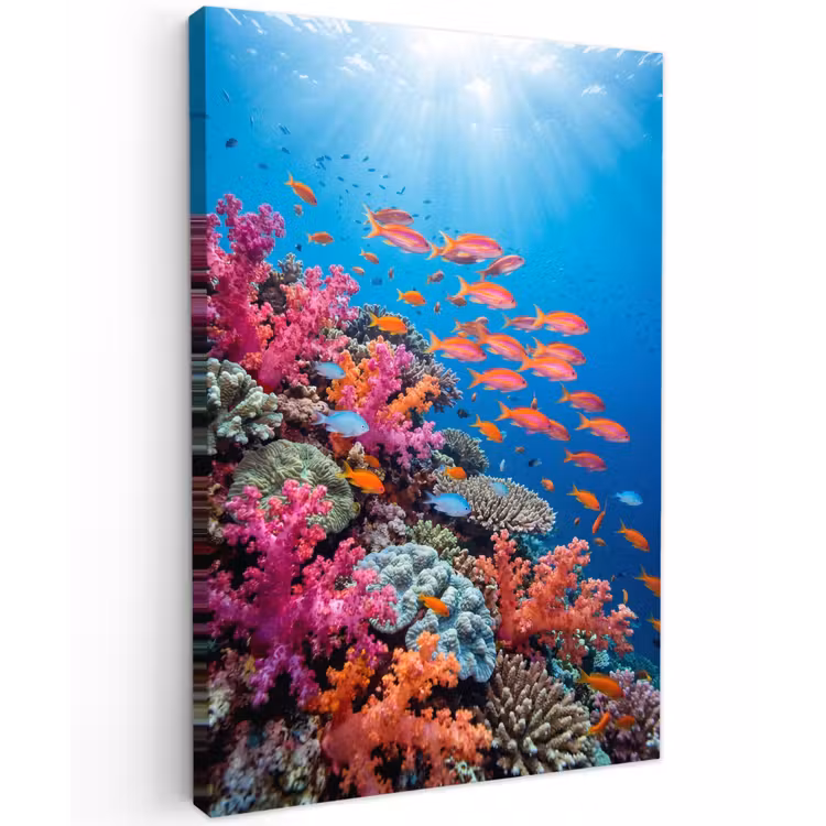 Onderwater - Koraalrif - Vissen - Oceaan - Natuur Tuinposter op houten frame 2 cm dik klein -3d