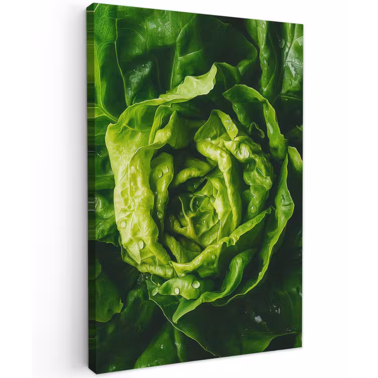 Groente - Sla - Groen Tuinposter op houten frame 2 cm dik klein -3d