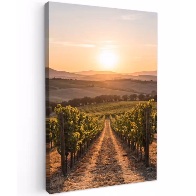 Wijngaard - Zonsondergang - Landschap Tuinposter op houten frame 2 cm dik klein -3d