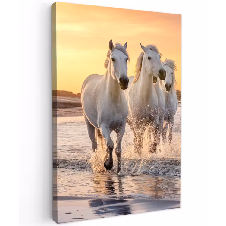 Witte paarden galopperen langs de kust Tuinposter op houten frame 2 cm dik klein -3d