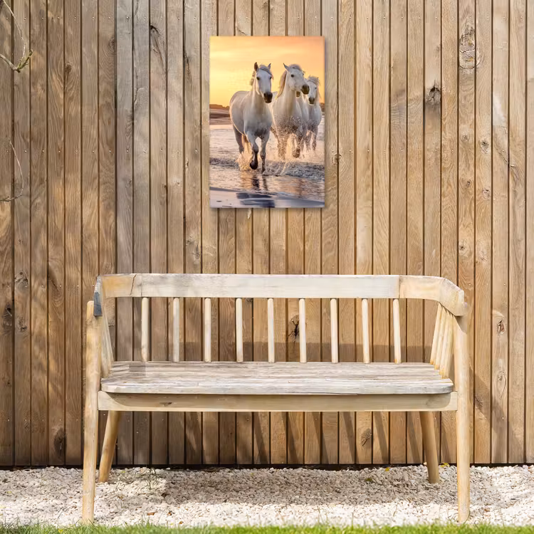 Witte paarden galopperen langs de kust Tuinposter op houten frame 2 cm dik klein -sfeer4