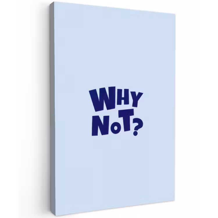 Why not - Blauw - Licht blauw - Quote Tuinposter op houten frame 2 cm dik klein -3d