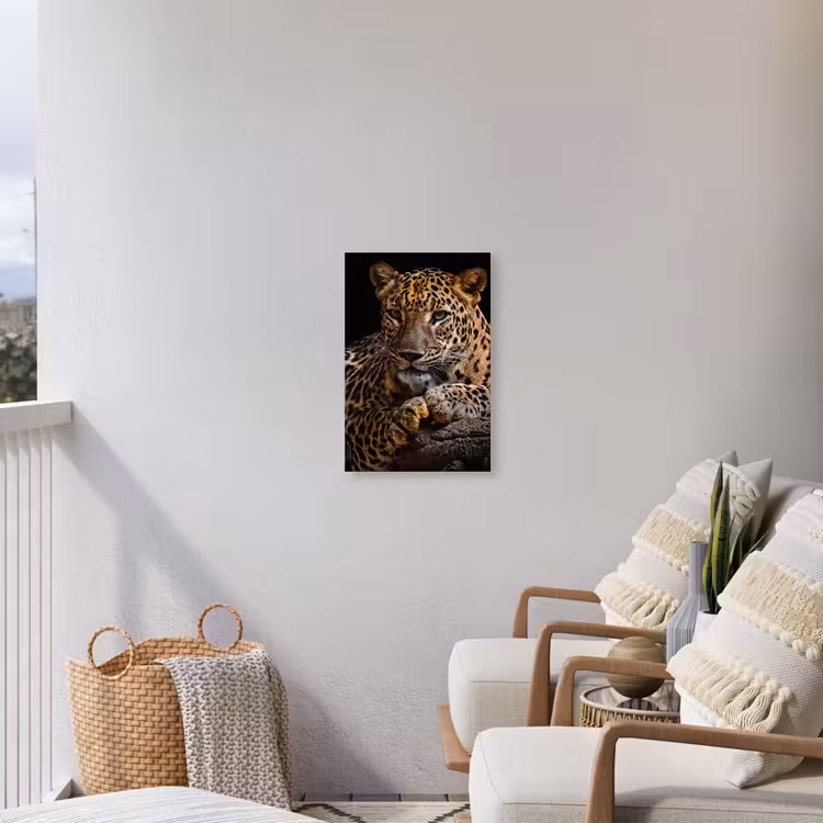 Wilde dieren - Panter - Portret - Zwart - Dieren Tuinposter op houten frame 2 cm dik klein -sfeer1