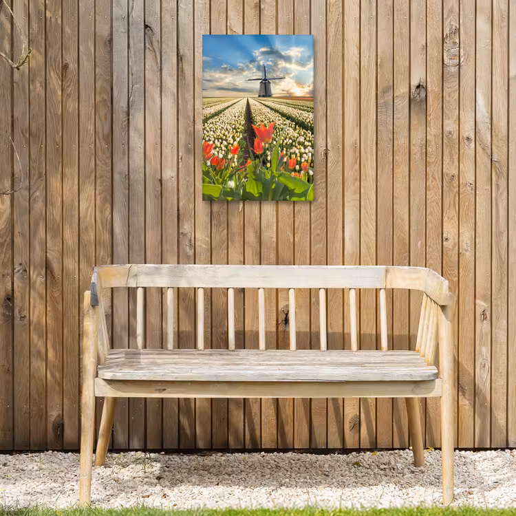 Windmolens en tulpenvelden bij zonsopgang Tuinposter op houten frame 2 cm dik klein -sfeer4