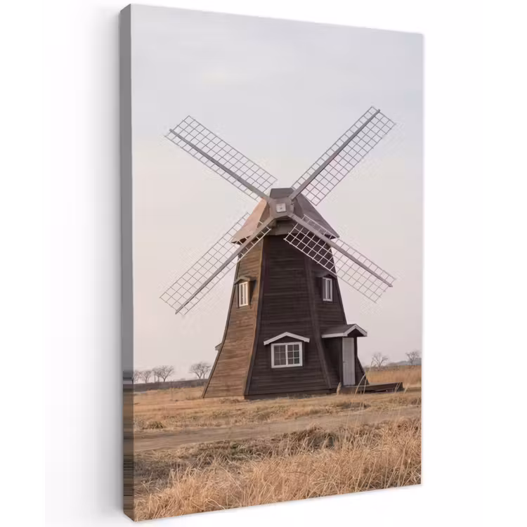 Windmolens - Landschap - Veld Tuinposter op houten frame 2 cm dik klein -3d