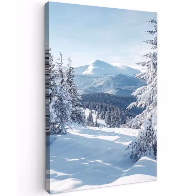 Winterlandschap - Natuur - Berg - Bomen - Sneeuw Tuinposter op houten frame 2 cm dik klein -3d