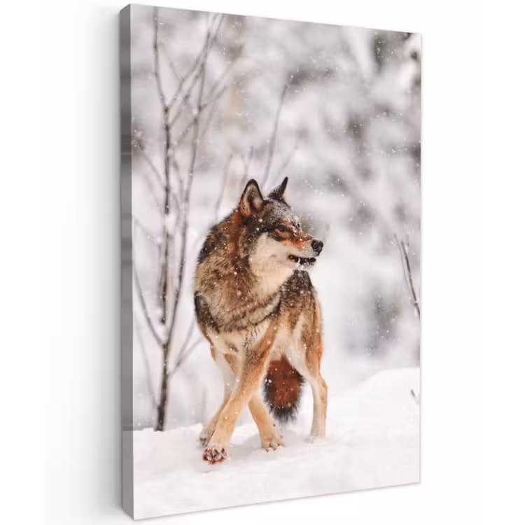 Wolf - Winter - Sneeuw - Natuur - Dieren Tuinposter op houten frame 2 cm dik klein -3d