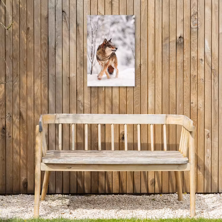 Wolf - Winter - Sneeuw - Natuur - Dieren Tuinposter op houten frame 2 cm dik klein -sfeer4